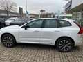 Volvo XC60 B4 Plus Dark 2WD Weiß - thumbnail 8