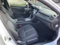 Honda Civic 1.6 5 porte aut. Executive Blanc - thumbnail 12