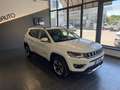 Jeep Compass Compass 1.6 mjt Limited 2wd 120cv my19 Bianco - thumbnail 4