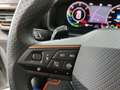 CUPRA Formentor 1.4 e-HYBRID AHK/LED/ACC/Navi/Sitzhzg Weiß - thumbnail 19