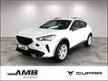 CUPRA Formentor 1.4 e-HYBRID AHK/LED/ACC/Navi/Sitzhzg Weiß - thumbnail 1