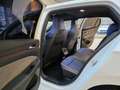 Volkswagen Golf VIII Limo R 4Motion Panorama Head-Up Weiß - thumbnail 15