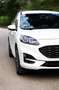 Ford Kuga Winterpaket, TüV NEU, Autom., 20Zoll, B&O, AHK Weiß - thumbnail 20