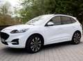 Ford Kuga Winterpaket, TüV NEU, Autom., 20Zoll, B&O, AHK Weiß - thumbnail 10