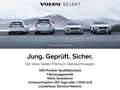 Volvo XC60 Plus Dark B4 AWD *Pano, 360°, 21 Zoll* Weiß - thumbnail 17
