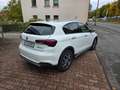 Fiat Tipo Cross Hatchback 1.6 130PS LED/SHZ/Kamera Blanc - thumbnail 11