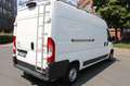 Citroen Jumper 35 L3H2 HDi 150 Klima/Kamera/AHK Blanco - thumbnail 5