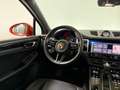 Porsche Macan 2.0 PDK/Papaya/Bose/Pano/Volleder/Trekhaak/ACC Oranje - thumbnail 27