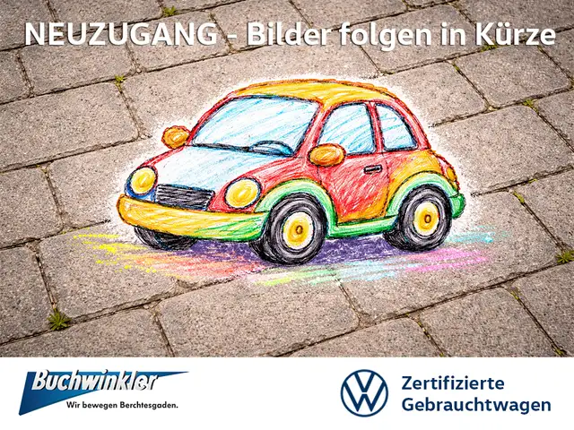 Volkswagen T-Roc R 2.0 TSI 4Motion+R Performance+LEDER+AHK