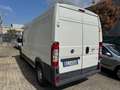 Fiat Ducato 35 3.0 Natural Power PLM-TM Furgone Maxi Bianco - thumbnail 8