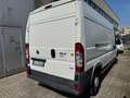 Fiat Ducato 35 3.0 Natural Power PLM-TM Furgone Maxi Bianco - thumbnail 6