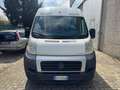 Fiat Ducato 35 3.0 Natural Power PLM-TM Furgone Maxi Bianco - thumbnail 2
