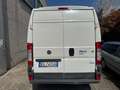 Fiat Ducato 35 3.0 Natural Power PLM-TM Furgone Maxi Bianco - thumbnail 7