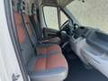 Fiat Ducato 35 3.0 Natural Power PLM-TM Furgone Maxi Bianco - thumbnail 4