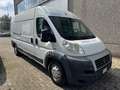 Fiat Ducato 35 3.0 Natural Power PLM-TM Furgone Maxi Bianco - thumbnail 3