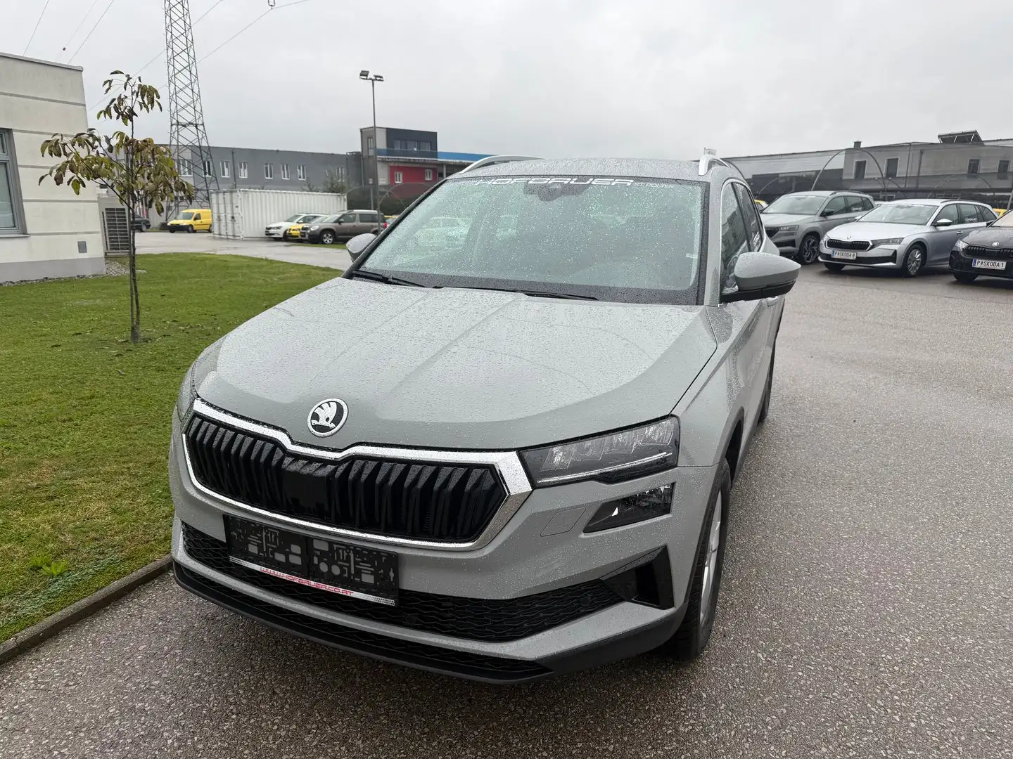 Skoda Karoq Selection TSI DSG ACT Grau - 1