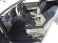Dacia Jogger 1.0 TCe 110 CV 7 posti Extreme Bianco - thumbnail 5