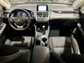 Lexus NX 300 Hybrid Executive Grau - thumbnail 12