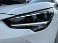 Opel Corsa 6ª SERIE 1.2 100 CV EDITION Bianco - thumbnail 7