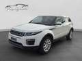 Land Rover Range Rover Evoque 2.0 td4 150cv Aut. SE Dynamic Bianco - thumbnail 3