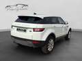 Land Rover Range Rover Evoque 2.0 td4 150cv Aut. SE Dynamic Bianco - thumbnail 7