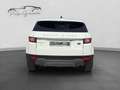 Land Rover Range Rover Evoque 2.0 td4 150cv Aut. SE Dynamic Bianco - thumbnail 6