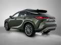 Lexus RX 450h 450h+ Plug-in Hybrid President Line | Mark Levinso Grün - thumbnail 14