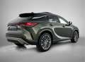 Lexus RX 450h 450h+ Plug-in Hybrid President Line | Mark Levinso Grün - thumbnail 2