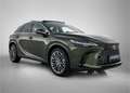 Lexus RX 450h 450h+ Plug-in Hybrid President Line | Mark Levinso Grün - thumbnail 13