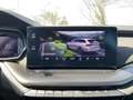 Skoda Octavia Combi RS 1.4 TSI iV HUD Navi DCC DigiCock LED Kurv Weiß - thumbnail 28