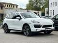 Porsche Cayenne Diesel Panorama Luft Fond-TV Key-GO R21 Blanc - thumbnail 3