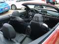 BMW 430 i Cabrio Sport Line Harman, HUD, Leder, LED Orange - thumbnail 20