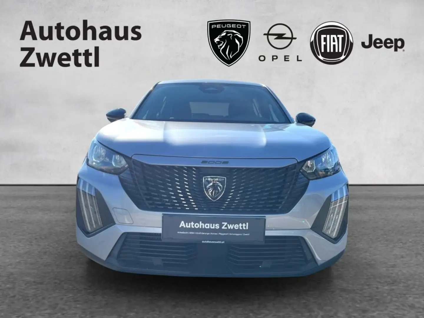 Peugeot 2008 Style PT 100 Grau - 2