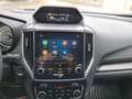 Subaru Forester 2.0i e-Boxer Style AWD Aut. LED+SHZ+360 Blau - thumbnail 14