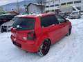 Volkswagen Polo Comfortline gepflegt Rot - thumbnail 5
