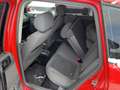 Volkswagen Polo Comfortline gepflegt Rot - thumbnail 9