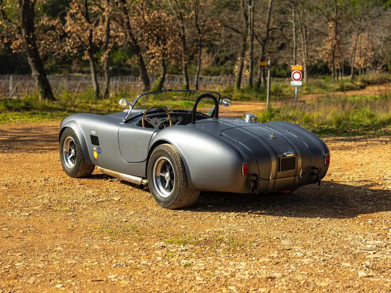AC Cobra 289 Unique Motorcars, foto 2