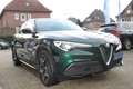 Alfa Romeo Stelvio Sprint Automatik LED/20Zoll/Navi Grün - thumbnail 5