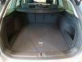 Volkswagen Passat Alltrack 2.0 TDI 4M DSG Pano*Navi*LED*DC Grau - thumbnail 18