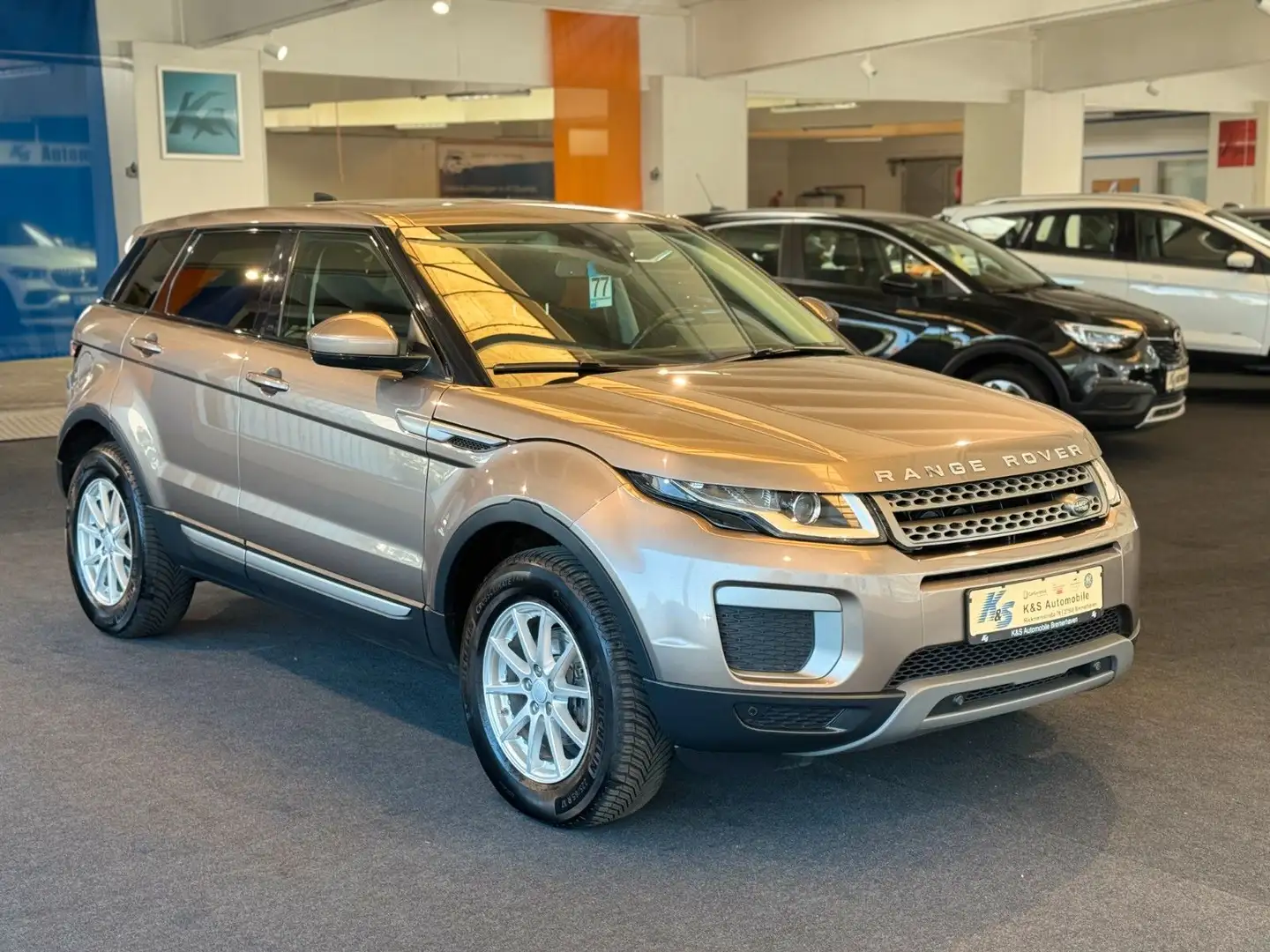 Land Rover Range Rover Evoque Pure*KAMERA*SITZH.*AHK+*TEMPO Beige - 1