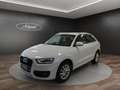 Audi Q3 Q3 2.0 TDI quattro S tronic Business Plus Bianco - thumbnail 1