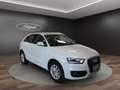 Audi Q3 Q3 2.0 TDI quattro S tronic Business Plus Bianco - thumbnail 5