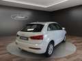 Audi Q3 Q3 2.0 TDI quattro S tronic Business Plus Bianco - thumbnail 8