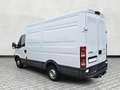 Iveco Daily Kasten 2.3 Diesel HKa35S Export Bianco - thumbnail 20
