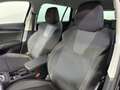 Skoda Octavia Selection TSI mHEV DSG Schwarz - thumbnail 13