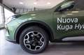 Ford Kuga 2.5 full hybrid Active 2wd 180cv auto Verde - thumbnail 7