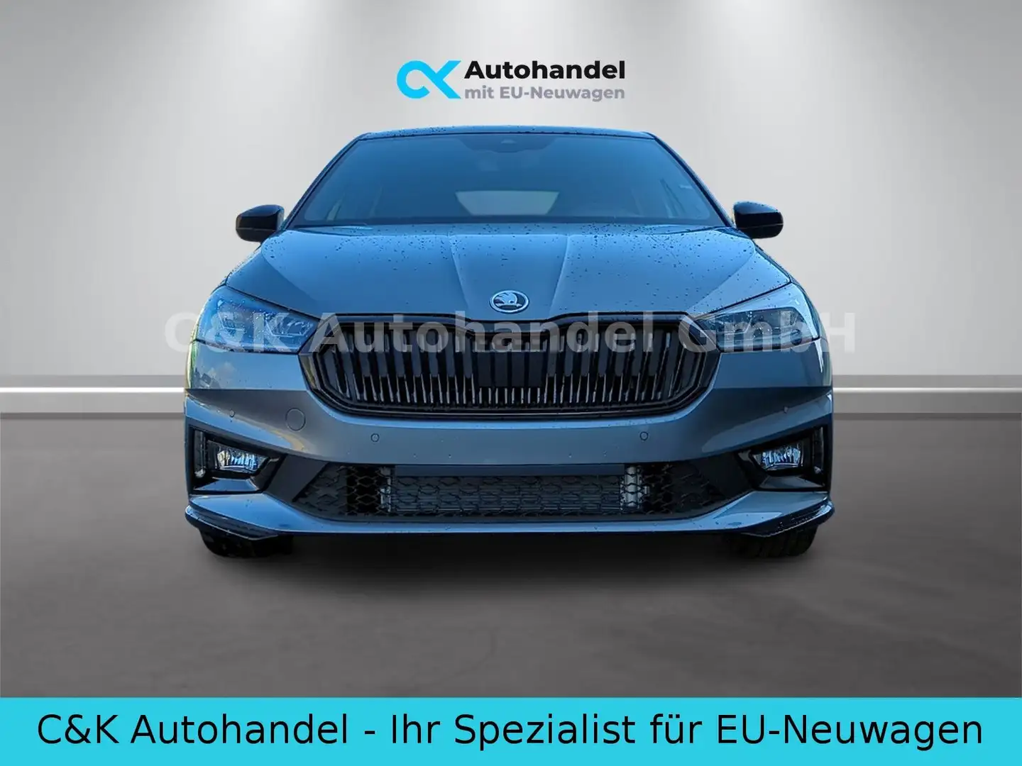 Skoda Fabia Monte Carlo 1.0 TSI 85 kW / 116 PS 6-Gang Grau - 2