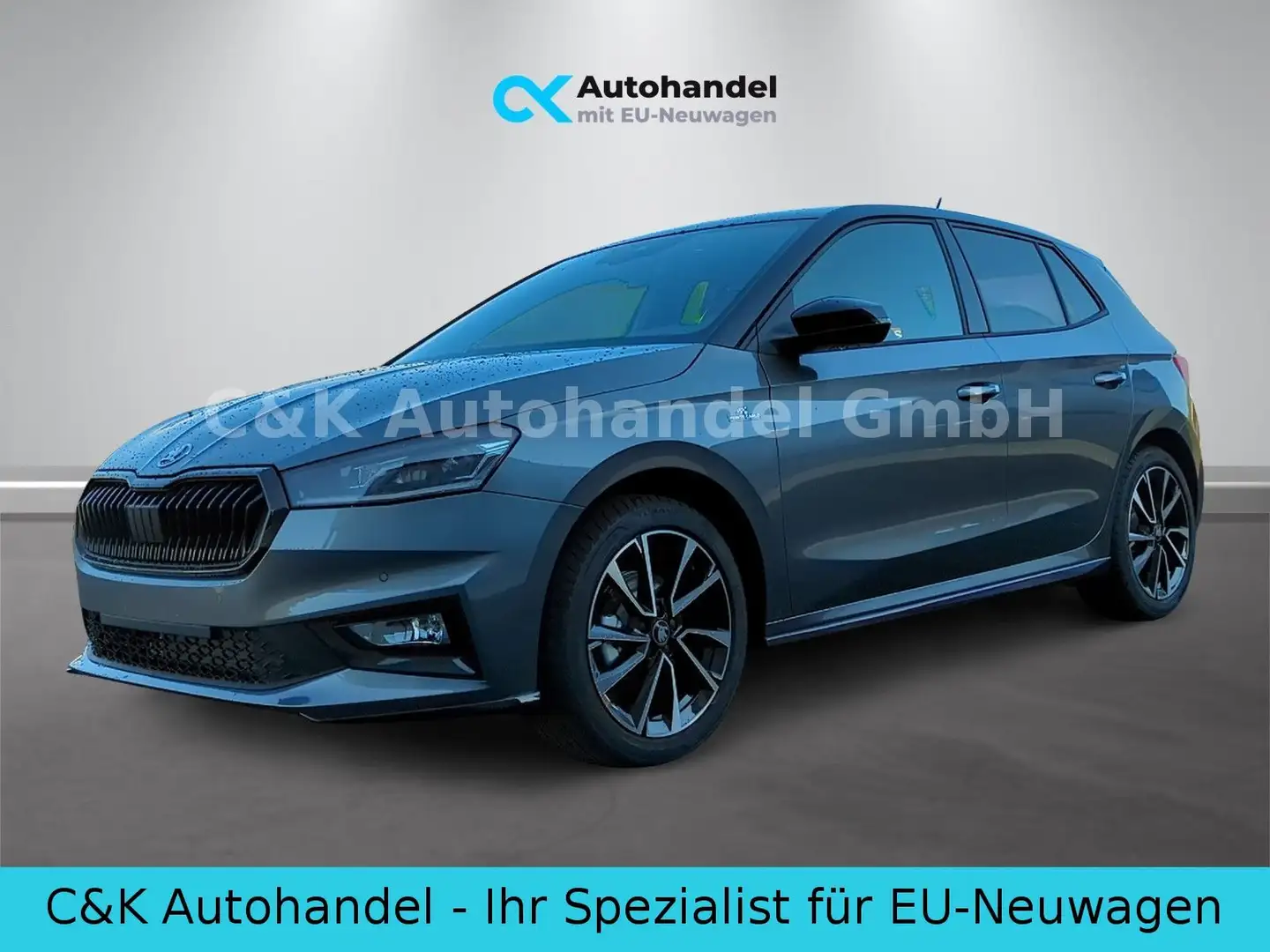 Skoda Fabia Monte Carlo 1.0 TSI 85 kW / 116 PS 6-Gang Grau - 1