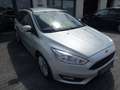 Ford Focus Turnier Business Argento - thumbnail 3