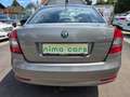 Skoda Octavia Octavia 1,6 Ambition TDI CR DPF Ambition Beige - thumbnail 12